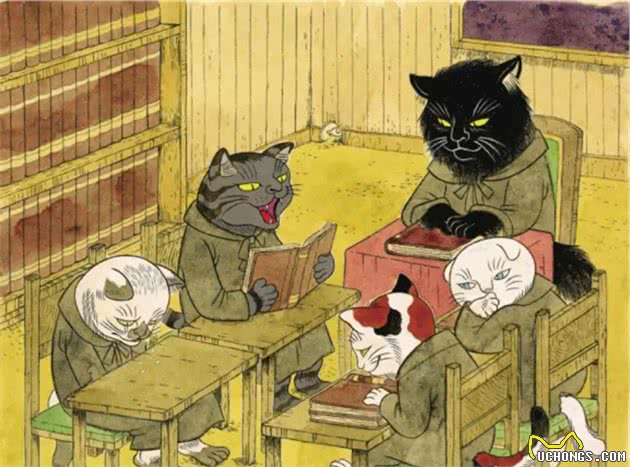 日本人为什么那么喜欢猫？