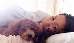 你听得懂狗话吗？泰迪犬对你做这5点，是在向你示爱