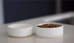 你有给狗狗洗狗碗的习惯吗？根据研究表示，不清洗狗碗会影响主人