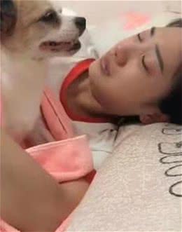 狗狗病入膏肓很痛苦，主人抱着它大哭，医生看了都不忍心安乐死