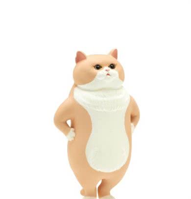 日本趣味猫狗扭蛋5选！拟人、拟物化搞怪来袭