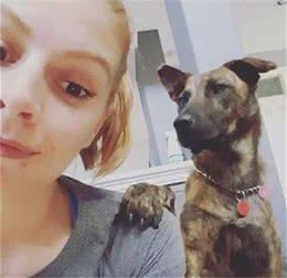 虎斑犬在国内被嫌弃，国外主人却超爱：散步都被夸帅
