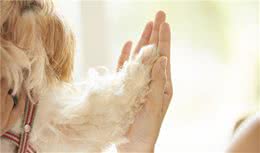 狗狗常见的5种行为，看完后你会更了解它