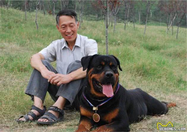 狗狗做这些事情，其实是在“保护”你，主人别不明白