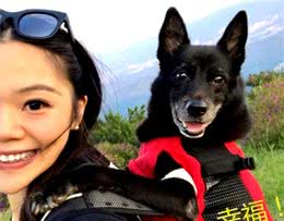 狗狗7、8岁以后，如果注意这些问题，会更加长寿