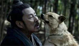 狗是人类的朋友，适应能力有多强，在原始社会怎么被人类驯化的？