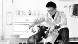 中国首只克隆警犬昆明犬回云南，基因母体来自普洱警犬大队功勋犬