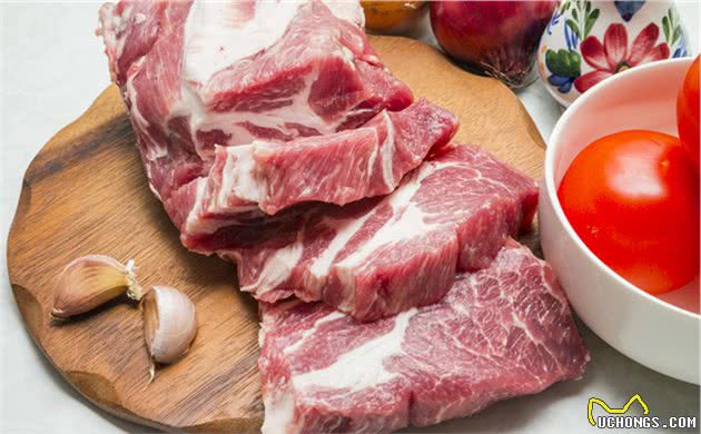 狗狗吃生肉好吗？主人应该如何准备食材？