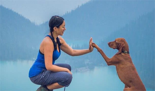 AKC第2组：运动犬组代表犬种：戈登赛特犬、维兹拉犬
