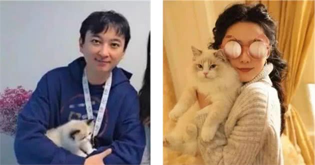 猫咪品种大盘点8：布偶猫