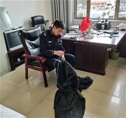 固阳开始整治流浪犬，已收容39只，奖励金额1500元