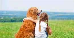 狗狗做这些事，可能你会觉得烦，但它是在关心你