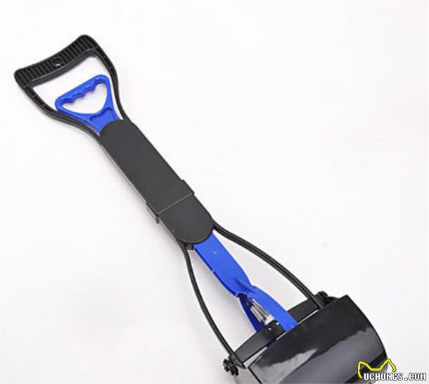 养狗一定要买的3种物品和不用买的3种物品，避免花冤枉钱
