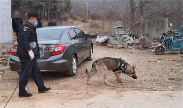 警犬立功！天龙、贝克你们好样的！