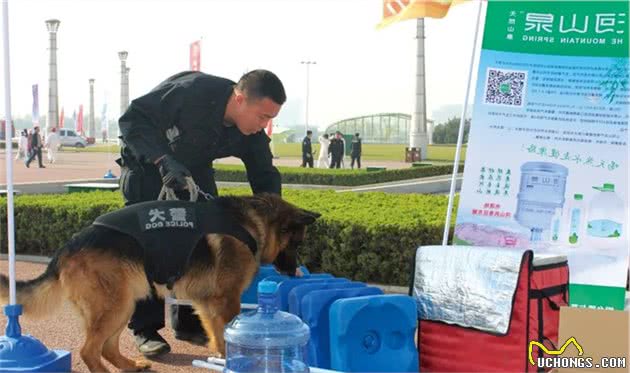 警犬立功！天龙、贝克你们好样的！