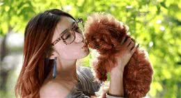 养狗，我只想养“泰迪犬”，这6大理由让我无法拒绝