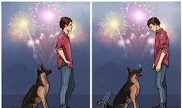 如果狗狗感到焦虑怎么办？盘点8种可以安抚狗狗的技巧