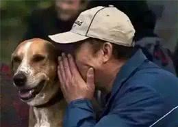 你知道怎么和狗交流吗？不懂得看这里