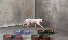 Maogoublue全新「HEICHAO」系列猫狗喂食碗