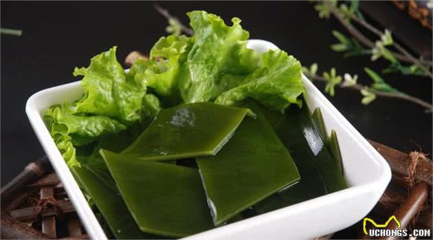 有助狗狗固发亮泽的几种食物，普通家庭都会有，就怕你没喂