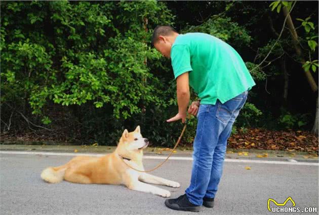 戈赞：最全狗狗超级训练方法
