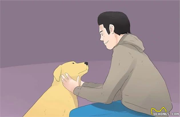 如何和狗狗做朋友