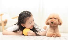 “妈妈，我想养只小狗！”孩子想养宠物，家长该不该答应？
