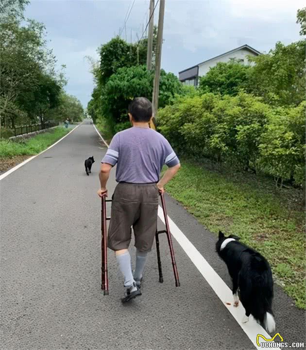 狗狗不吃饭，严厉父亲用温柔的方法对待…狗才是亲生的吧？