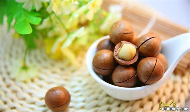 给狗狗喂这8种食物，会让它的身体“坏掉”，你却毫不知情