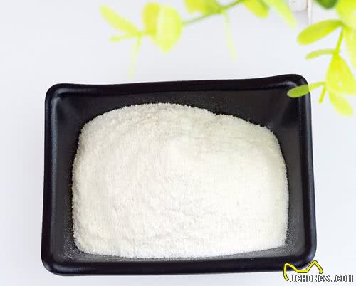 狗关节炎能治好吗