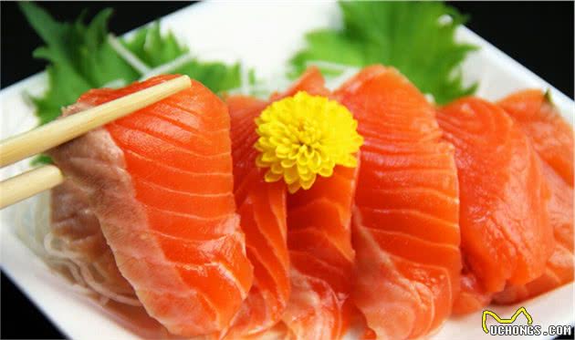 6种对狗狗有益的辅食，建议收藏