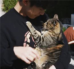 你抱猫的方式正确吗？这几种错误方式，不少人还在犯