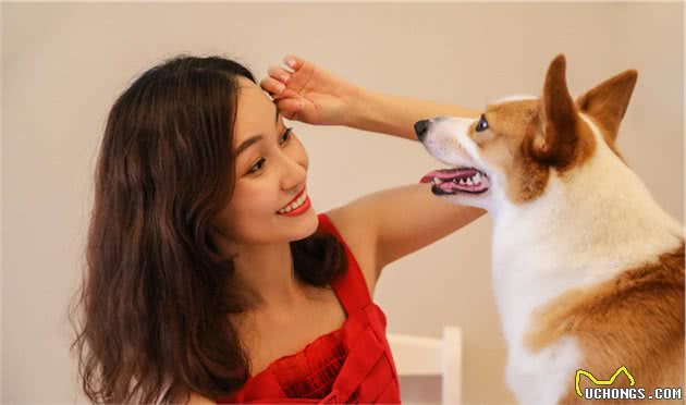 狗狗的社会行为学：用正确的方法教育狗狗们