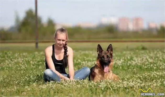 德国牧羊犬，一旦它接纳了你，就别提它对你有多温柔了