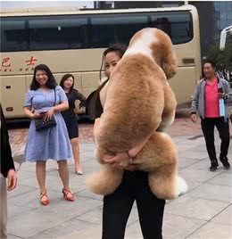 为何将狗一抱起，它就不动了？原来背后隐藏了这些秘密