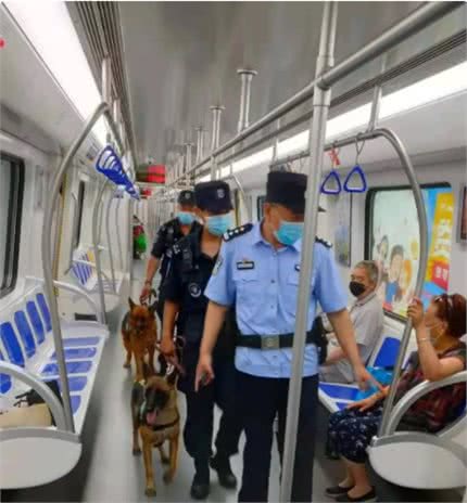 警犬来地铁“上班”啦~