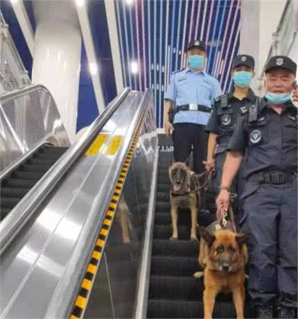 警犬来地铁“上班”啦~