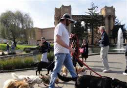 这3个养狗坏习惯，正在悄悄慢性杀狗，铲屎官你到底懂不懂？