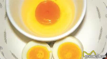这几种食物狗狗吃了身体好，营养又便宜