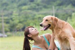 想让狗狗开心？宠主只需做好这5件事，能让狗狗寿命延长