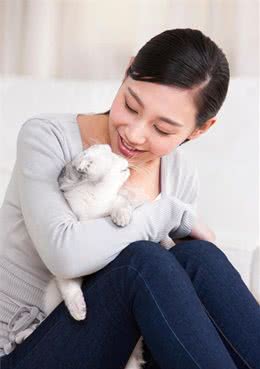 你们喜欢养折耳猫吗？究竟要不要入手，我们来一起分析下哦