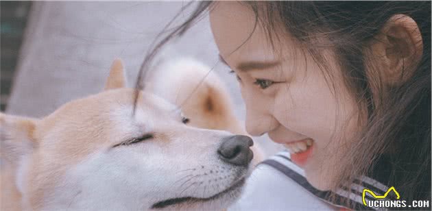 柴犬遇到漂亮女孩便跟着跑了，撒手没名不虚传，对美食美女不设防
