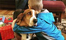 你以为狗狗讨厌你的几种行为，其实是爱你