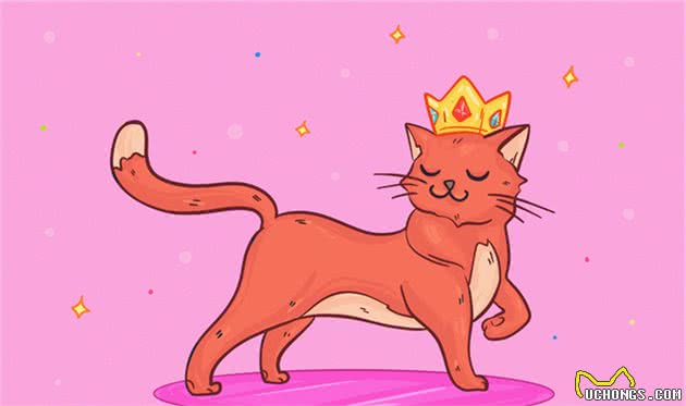 猫到底拥有什么超能力呢？这20条关于猫的冷知识你知道几个