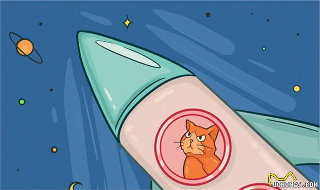 猫到底拥有什么超能力呢？这20条关于猫的冷知识你知道几个