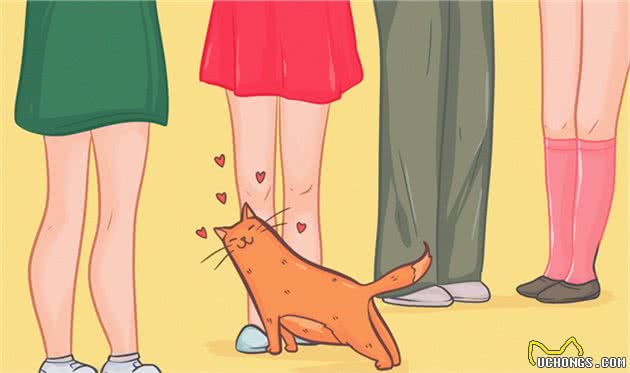 猫到底拥有什么超能力呢？这20条关于猫的冷知识你知道几个