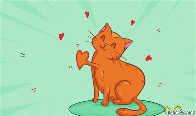 猫到底拥有什么超能力呢？这20条关于猫的冷知识你知道几个