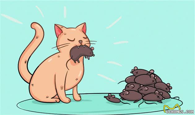 猫到底拥有什么超能力呢？这20条关于猫的冷知识你知道几个
