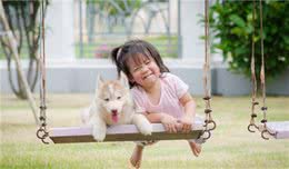 狗狗也会宠主人，这几件事最能体现，你家狗做过吗？