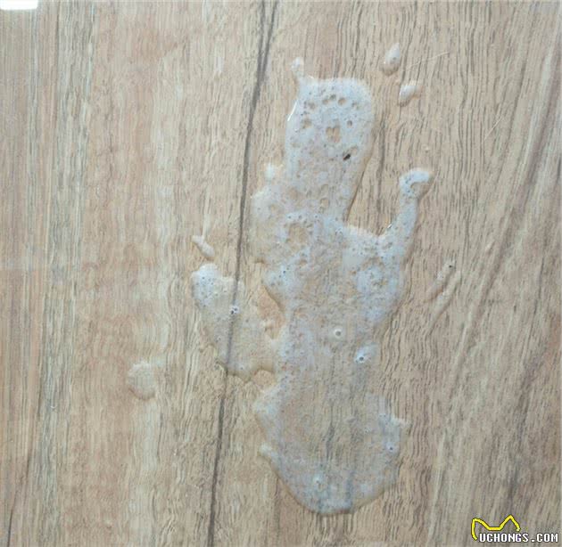 猫咪呕吐该怎么办？对照猫咪呕吐的6种情况，再判断是否需要就医